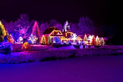 Christmas fantasy - park, forest, pine tree & lodge in xmas lights