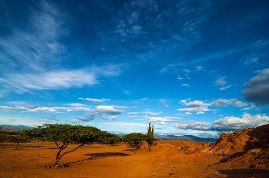 A dry desert landscape shot near dusk.