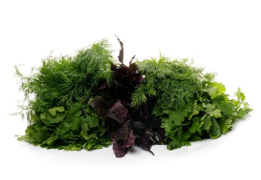 Heap of Fresh Parsley, Dill and Basil isolated on white background