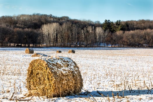 Haystacks on the Frozen Field in Rural Minnesota.