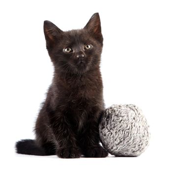 Black kitten with a woolen ball on a white background