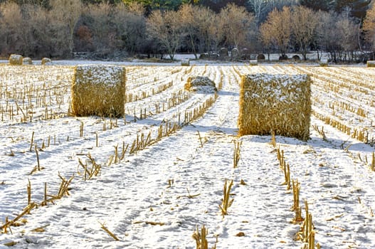 Haystacks on the Frozen Field in Rural Minnesota.