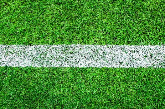 White stripe on the green soccer field from top view