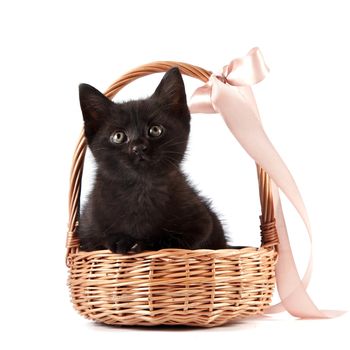 Black kitten in a wattled basket with a ribbon on a white background
