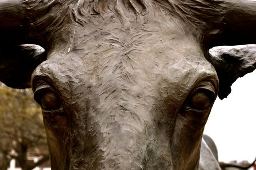 Waco statue longhorn closeup