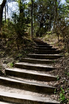 Steps into the woods