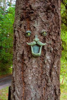 A whimsical face is shown on the bark of a tall fir tree in an outdoor park in Oregon.