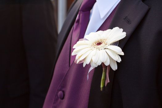 A groom's wedding attire with a purple vest, black tuxedo jacket, and a white boutonniere flower.