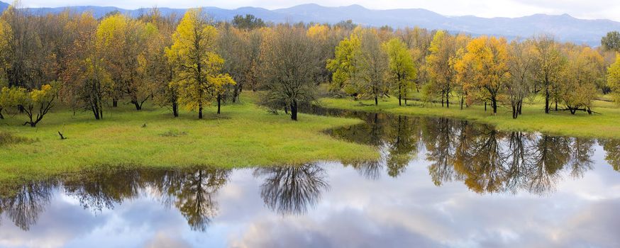 Columbia River Gorge National Scenic Area Wetlands Reflection in Fall Colors Panorama