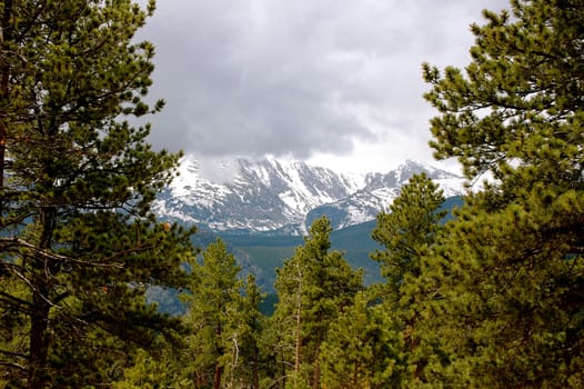 Rocky mountains through the trees