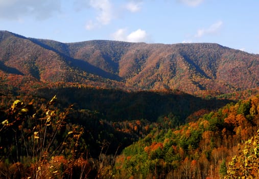 North Carolina Mountains