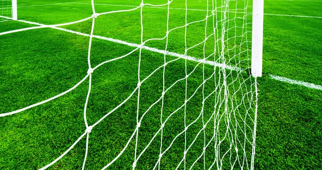 soccer net on green grass, view from behide the goal line