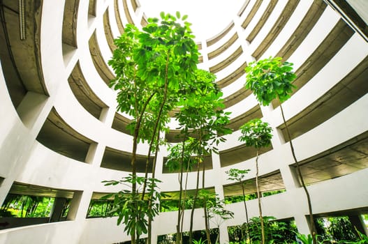 Green garden in car park building