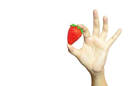 Strawberry hand. Organic food strawberry in the woman's hand isolated on white