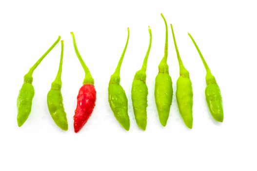 Red chilli among green chilli,concept