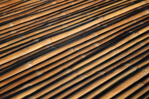 Bamboo texture