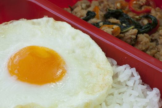 Basil Fried Chicken and fried egg (Thai Food)