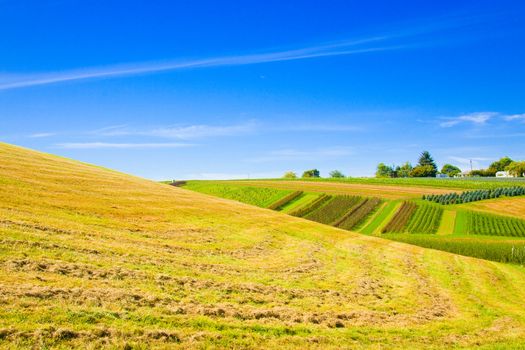 A rural landscape of tree growing farms and ranches.