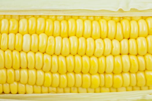 Fresh corn cobs