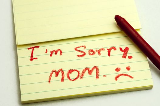 a handwritten notes with sorry message.