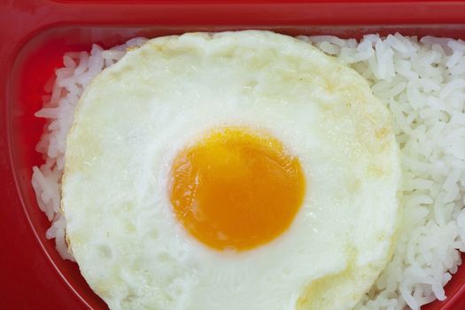 Fried egg and rice