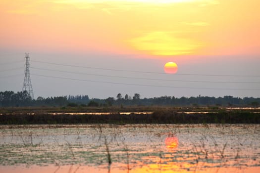 Electric power line in the field on sunset