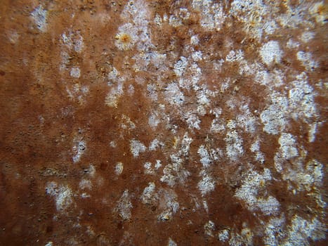 Rusty iron for background