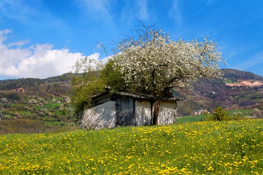 Old small country house in stone and wood - Lessinia Veneto Italy
