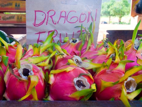 Some dragonfruit is for sale on the north shore of hawaii oahu at a local organic fruitstand.