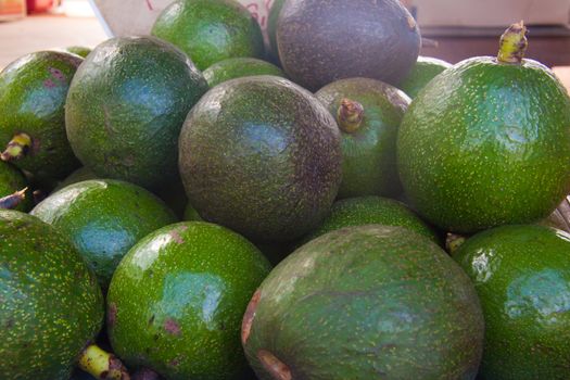 Avacados are for sale along the north shore of oahu hawaii for very cheap.