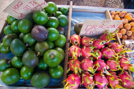 Avocados and dragon fruit are for sale at a tropical paradise organic fruit stand on the north shore of oahu hawaii.