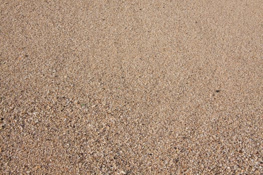A closeup macro shot of a white sand beach in oahu hawaii.