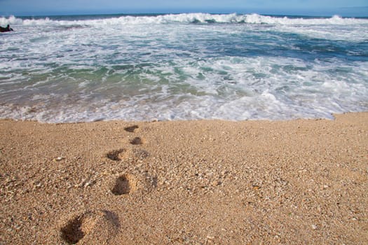 Foot prints are coming out of the water of a tropical beach in oahu hawaii.