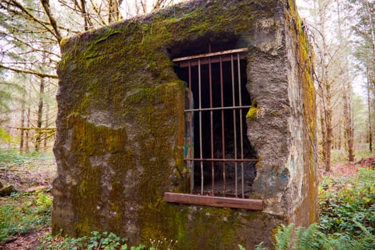 A very old building is still standing in the forest surrounded by overgrown vegetation and greenery.