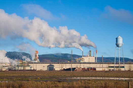 A paper mill in Oregon emits smoke and pollution into the clean air and blue sky overhead.