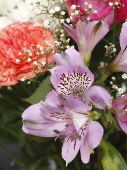 closeup shot of the alstromera flowerin a bouquet