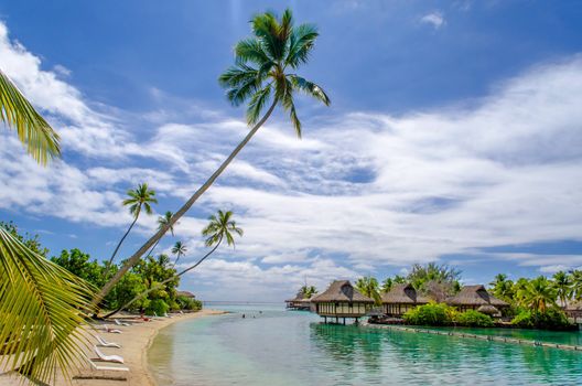 Overwater Bungalows, tropical beach, French Polynesia