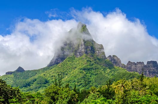 Mountain Top in the clouds, tropical forest, French Polynesia