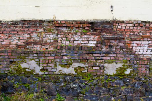 An old decayed brick wall has plants growing on it and pieces of the bricks turning to rubble