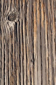 Wood boards are photographed at a dock to create some individual abstract images of the texture of wood after being weathered for many years.