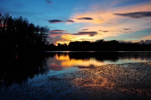 Srimuang Park in yala, thailand