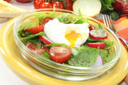 Salad with poached egg, tomato, radish and lettuce