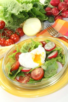 Salad with poached egg, cherry tomatoes, radishes and lettuce