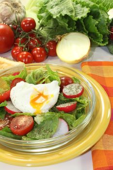 Salad with poached egg, cherry tomatoes, radishes, lettuce and dill