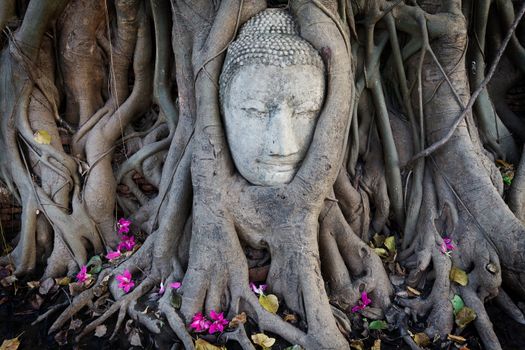 Head of Sandstone Buddha in The Tree Roots at Wat Mahathat, Ayutthaya, Thailand