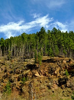 Black Hills South Dakota