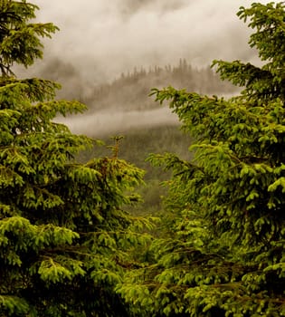 Alaskan Mountains