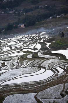 Rice terraces in Yuanyang, China at sunrise