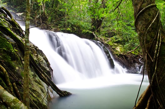 Deep forest Waterfall in Saraburi, Thailand