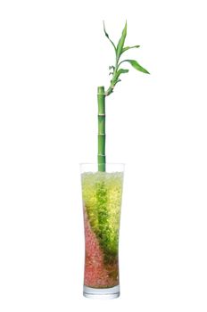 Glass jar with bamboo isolated on white background.